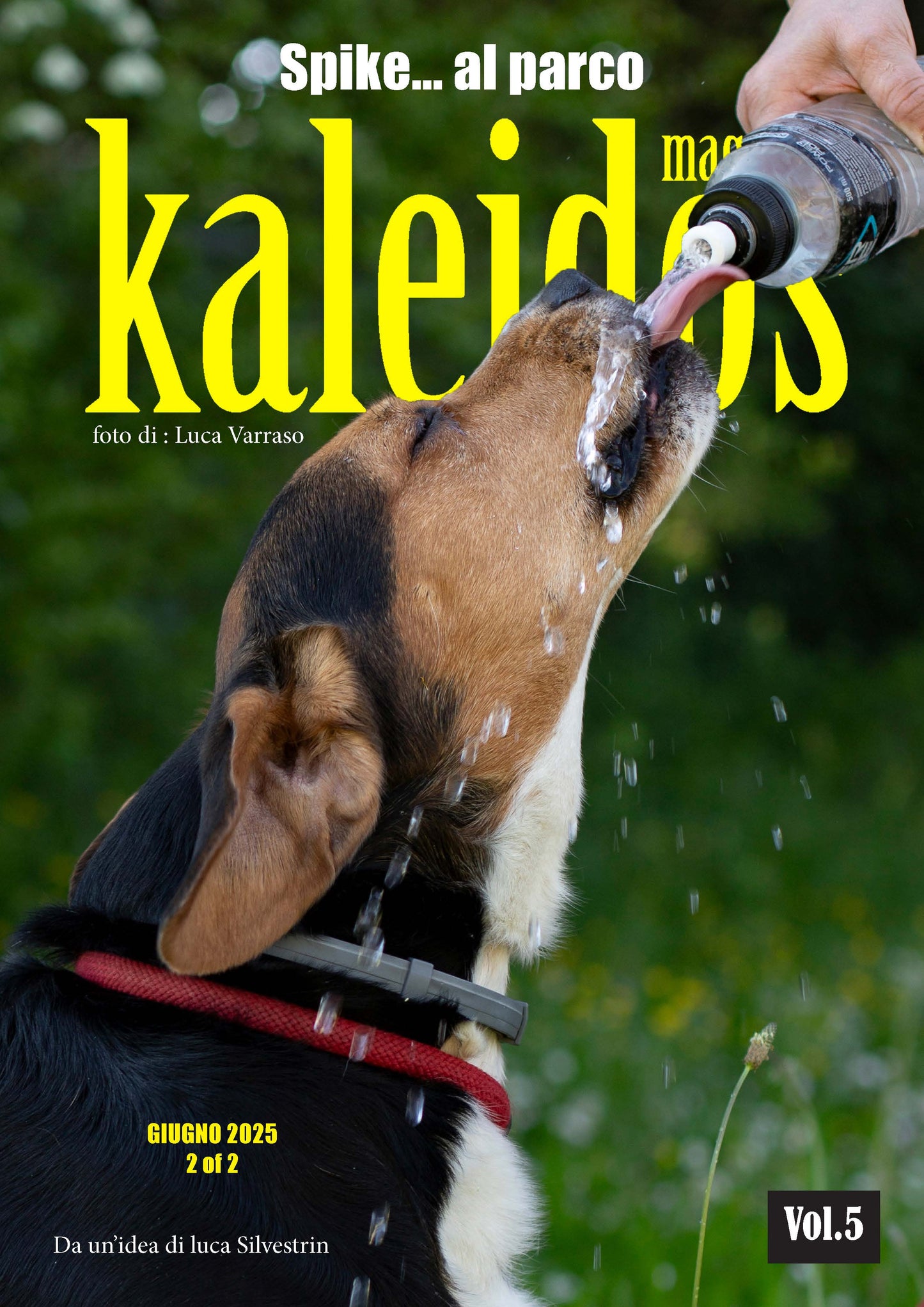 Kaleidos Magazine giugno 2025 2 of 2 digital