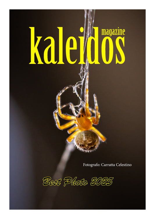 Best 2025 Celestino Carratta